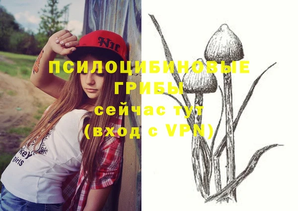 Альфа ПВП Вязьма