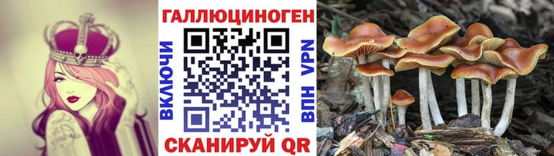 Купить закладки  Кувшиново  Галлюциногенные грибы Magic Shrooms 
